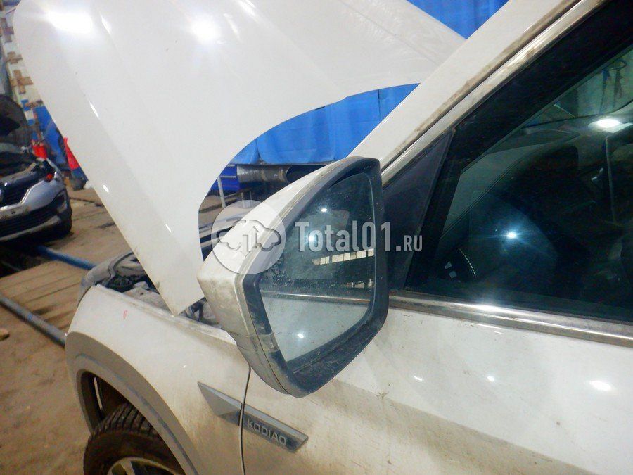 Фото Skoda Kodiaq 186