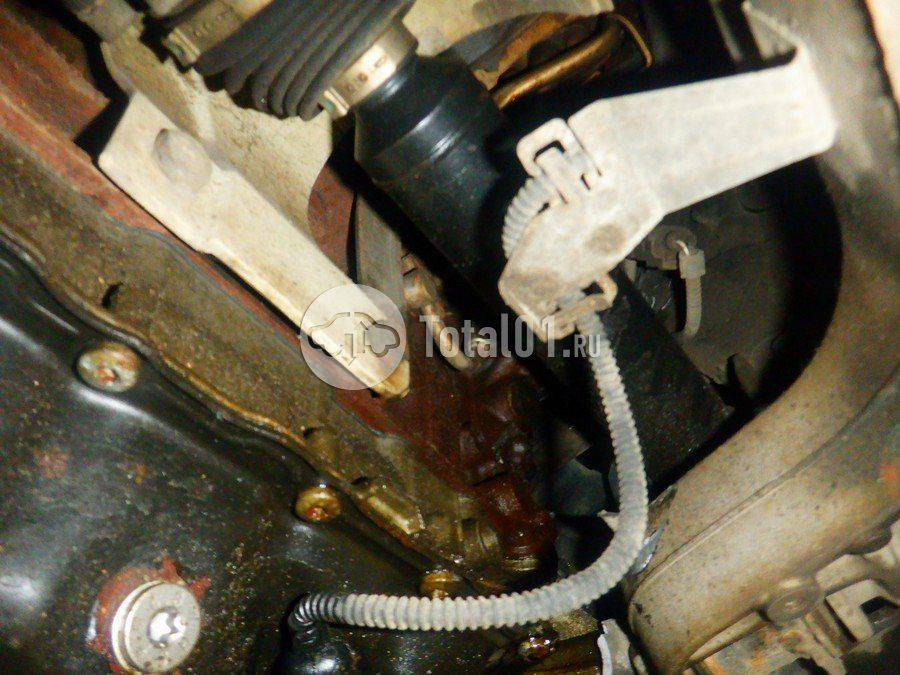 Фото Volkswagen Passat 296
