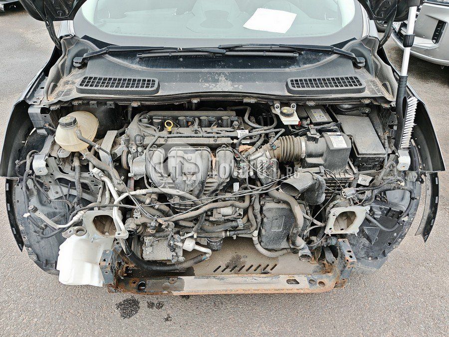 Фото Ford Kuga 60