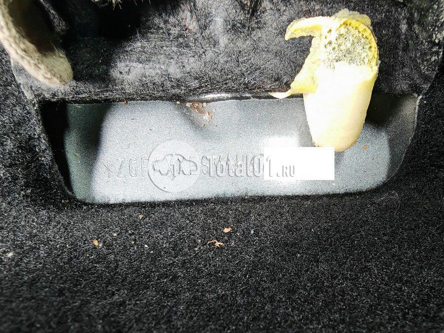 Фото Ford Kuga 154