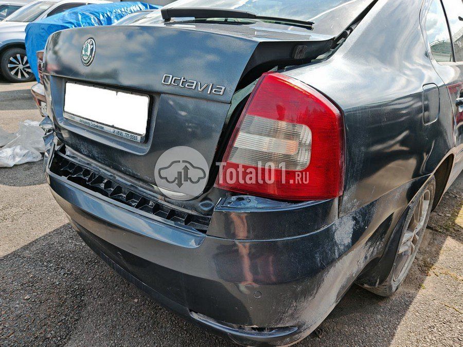 Фото Skoda Octavia 60