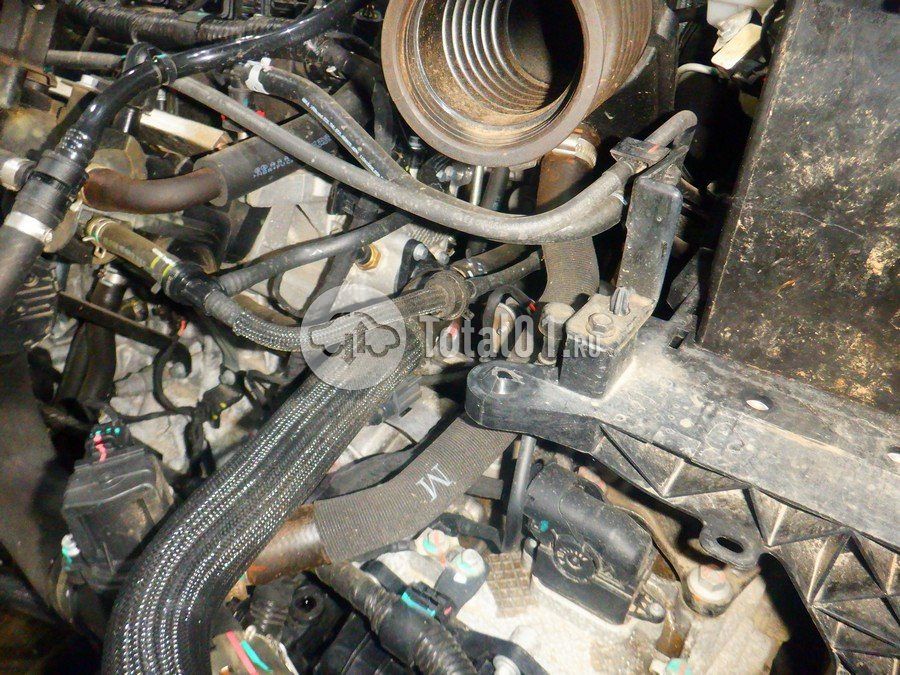 Фото Haval H3 232