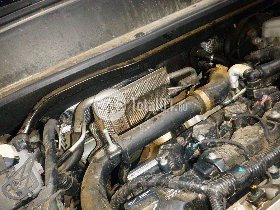 Фото Haval H3 244