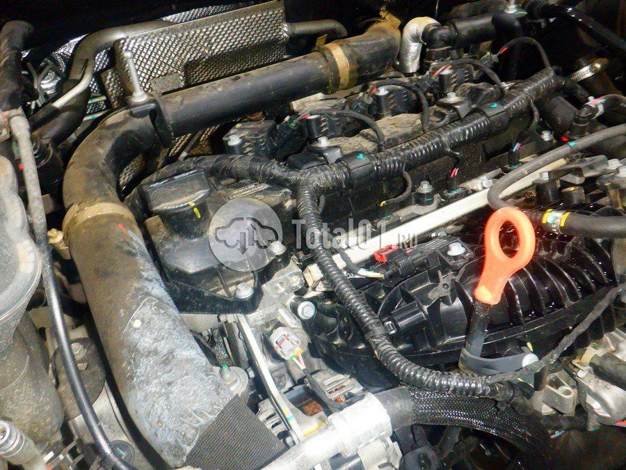 Фото Haval H3 276