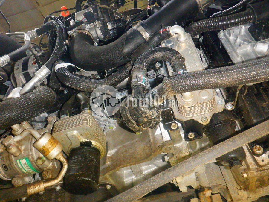 Фото Haval H3 300