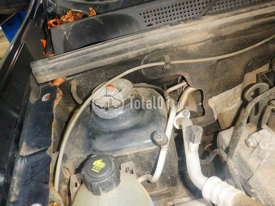 Фото Renault Sandero 238