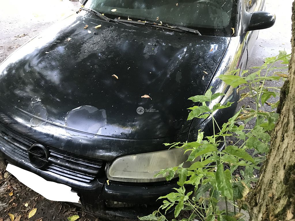 Фото Opel Omega 8