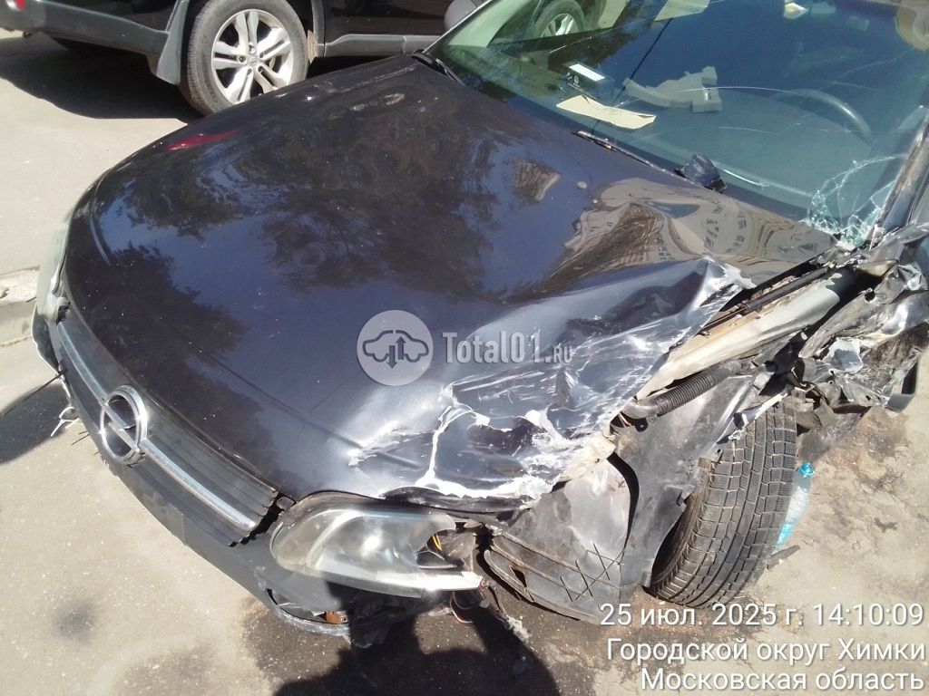 Фото Opel Omega 46