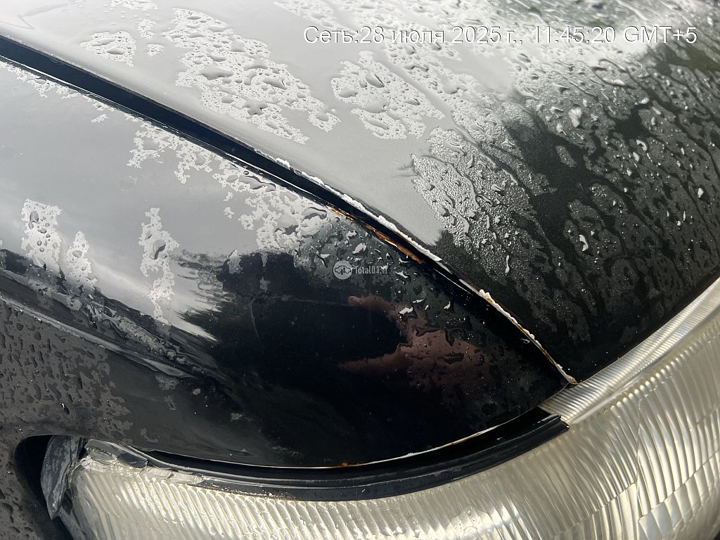 Фото Nissan Cima 70