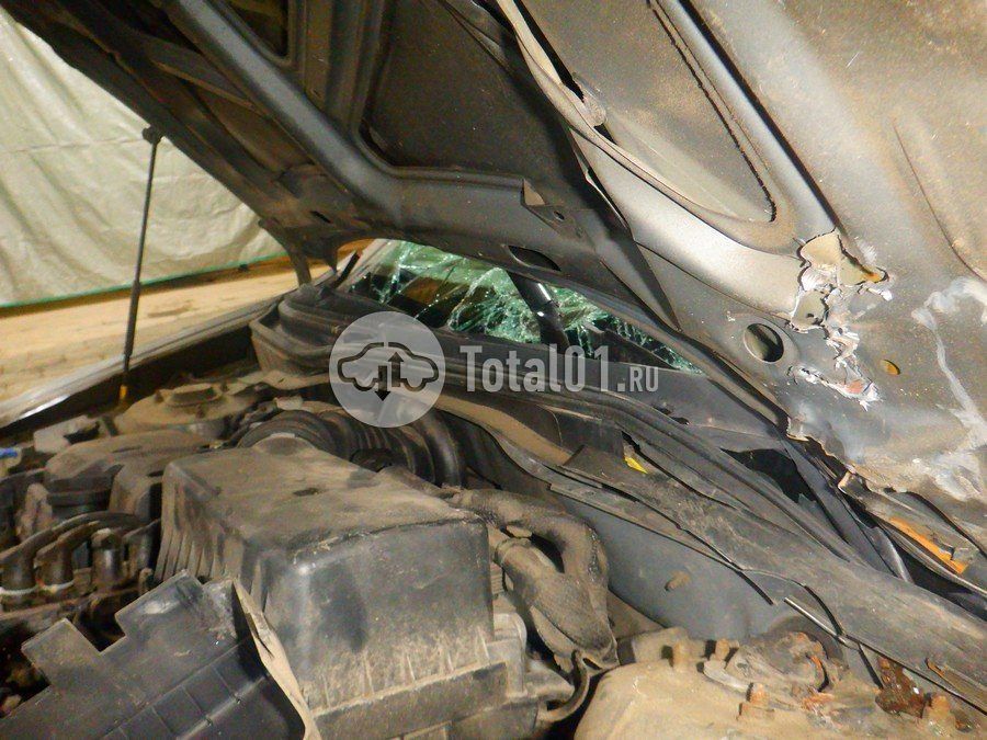 Фото KIA Rio 220
