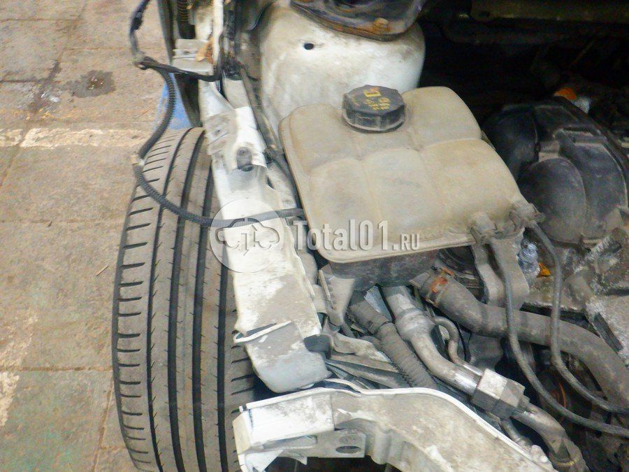 Фото Ford Focus 236