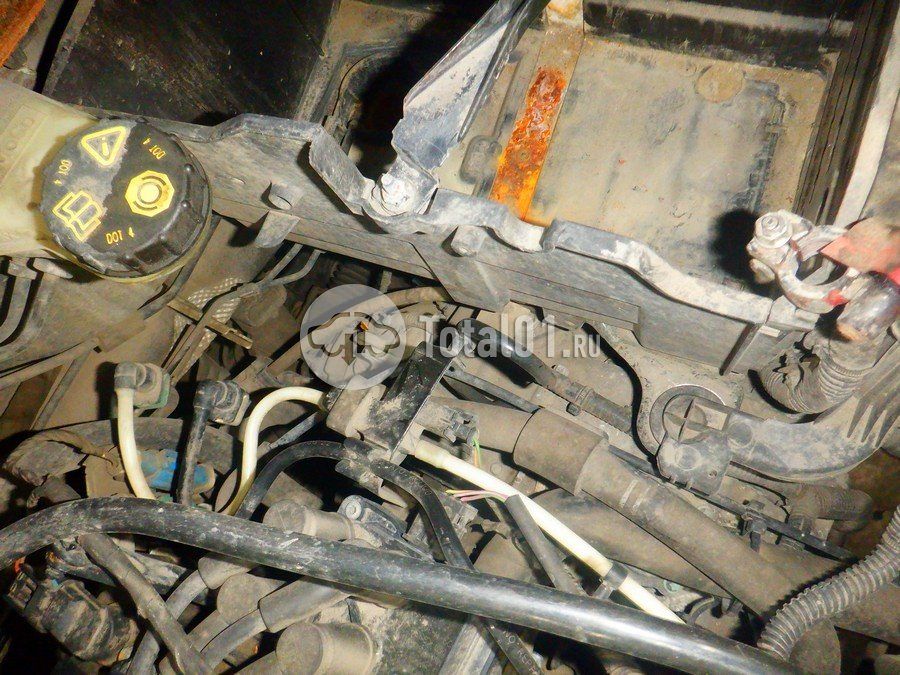 Фото Ford Focus 248