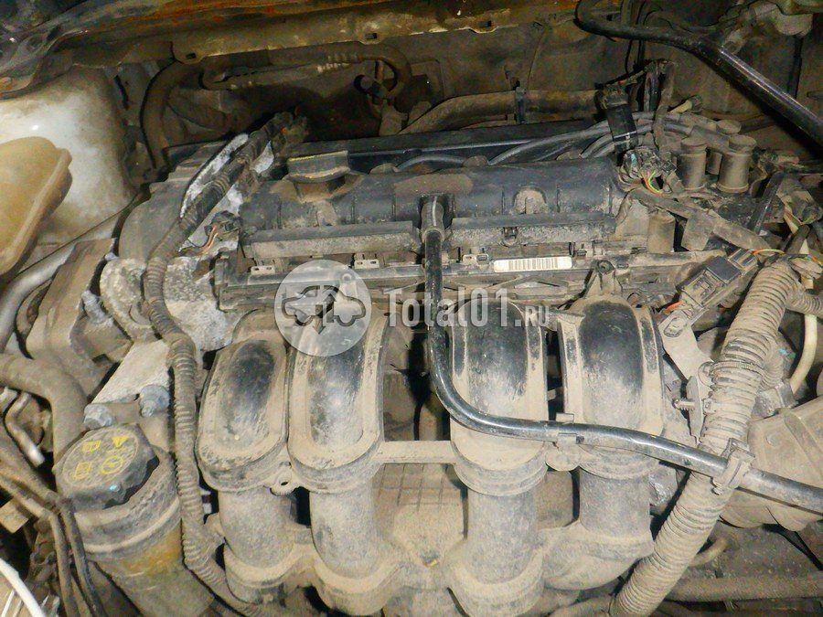 Фото Ford Focus 252