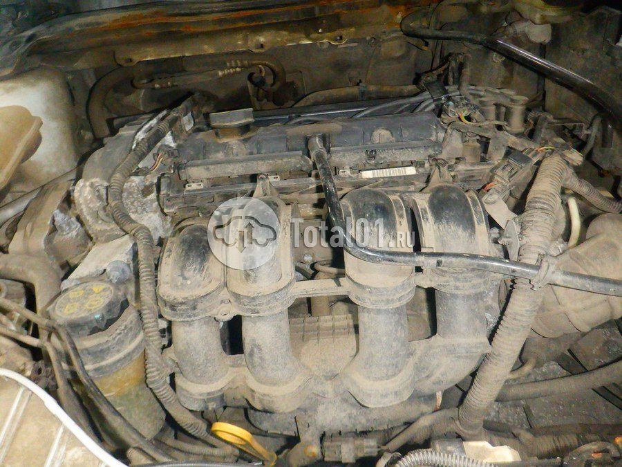 Фото Ford Focus 256