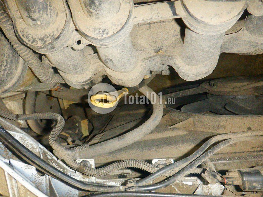 Фото Ford Focus 260