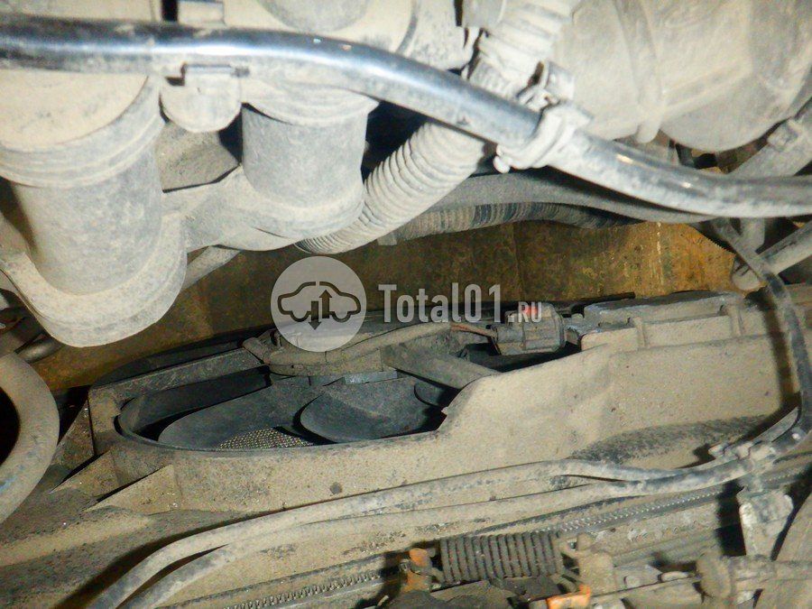 Фото Ford Focus 262