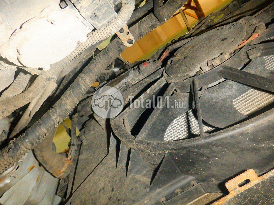 Фото Ford Focus 366