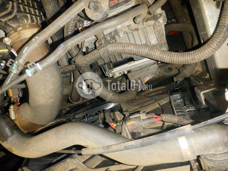Фото Haval F7 282
