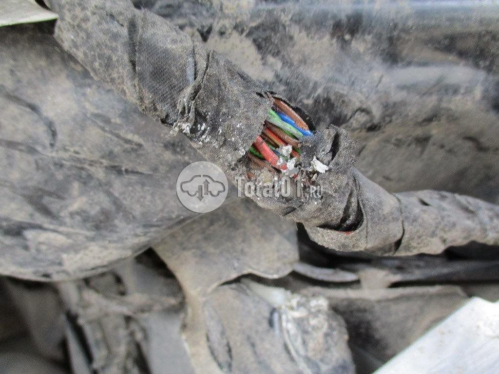 Фото BMW X6 322