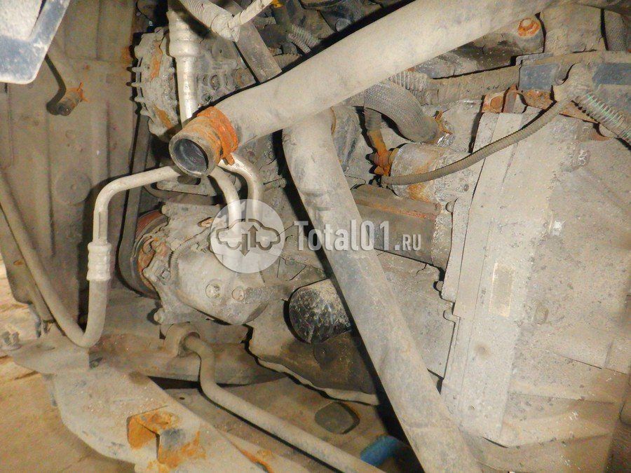 Фото Nissan Terrano 302
