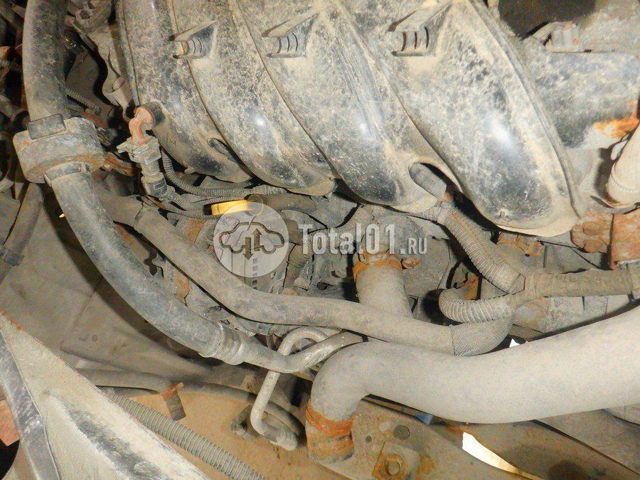 Фото Nissan Terrano 308