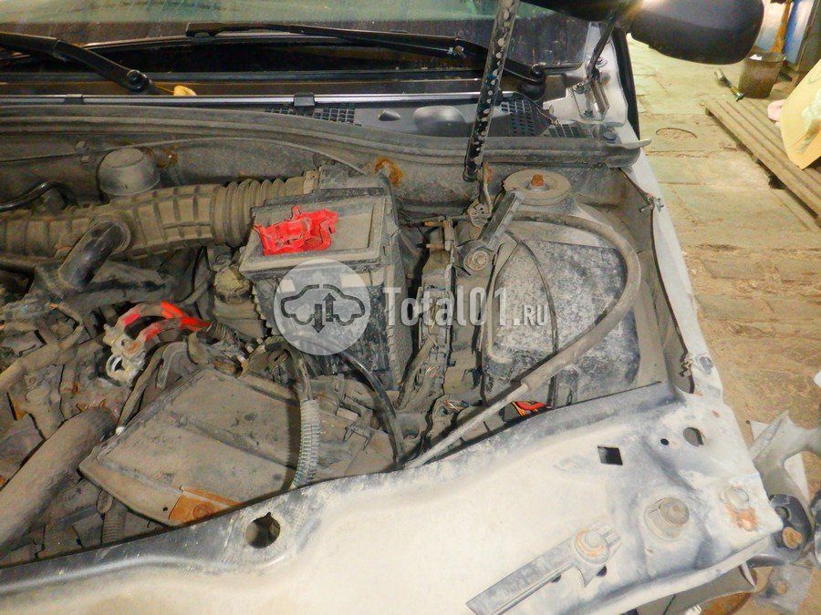 Фото Nissan Terrano 312