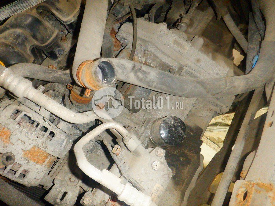 Фото Nissan Terrano 316
