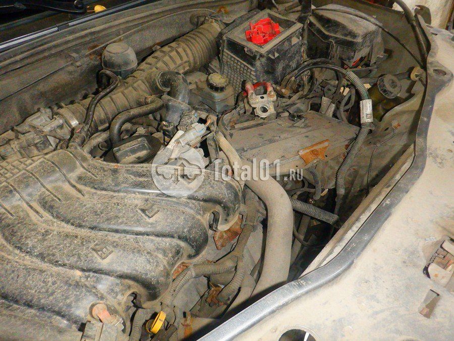 Фото Nissan Terrano 336