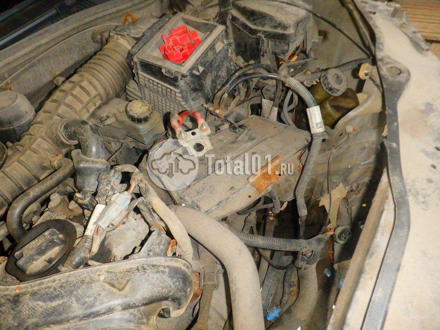 Фото Nissan Terrano 340