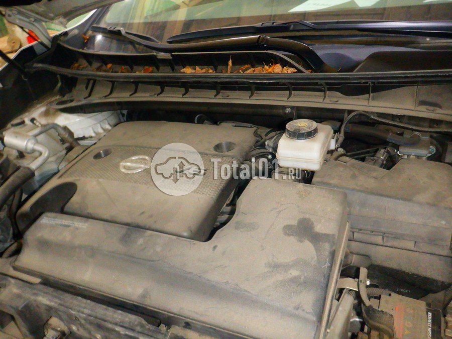 Фото Nissan Murano 286