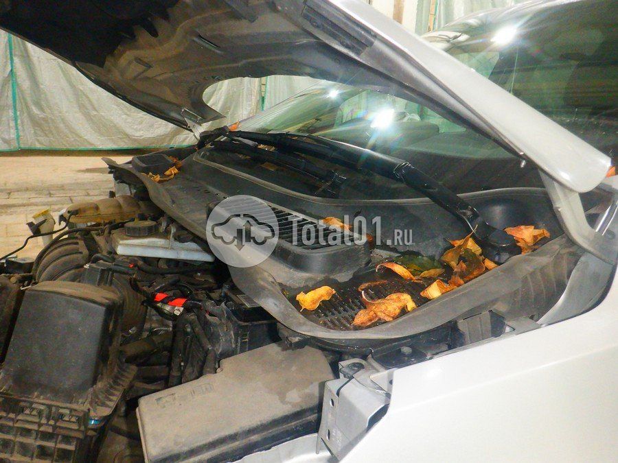 Фото Ford Kuga 264
