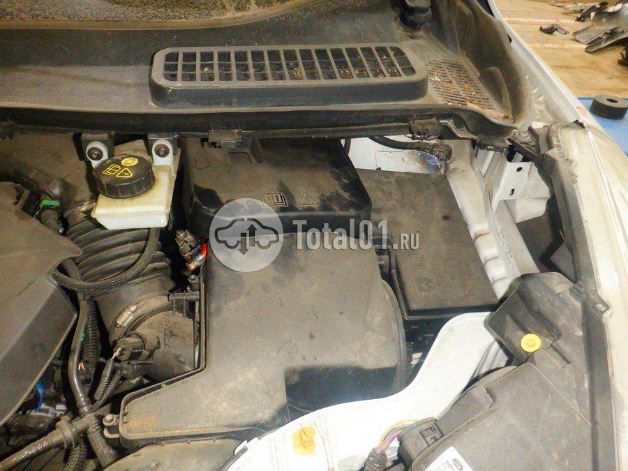 Фото Ford Kuga 126