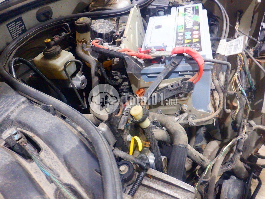 Фото Nissan Terrano 114