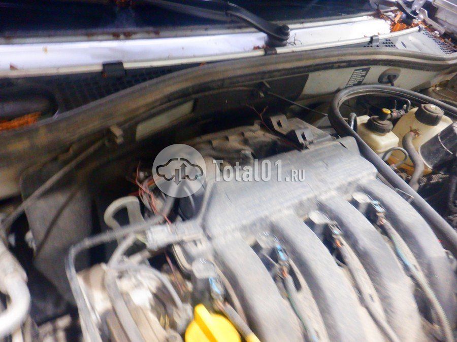Фото Nissan Terrano 118