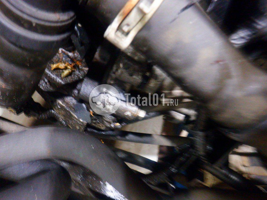 Фото Nissan Terrano 132