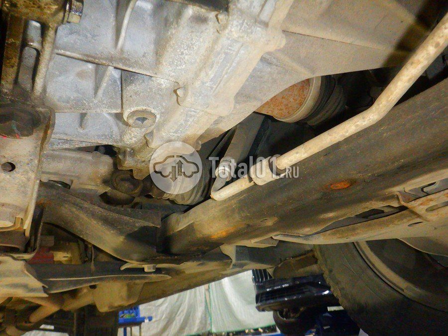 Фото Nissan Terrano 244