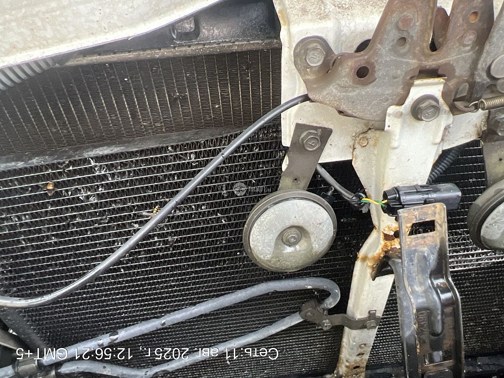 Фото Nissan Bassara 58