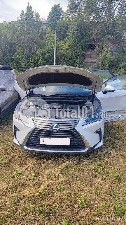 Фото Lexus RX 12