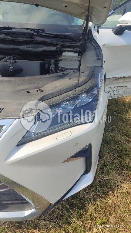 Фото Lexus RX 22