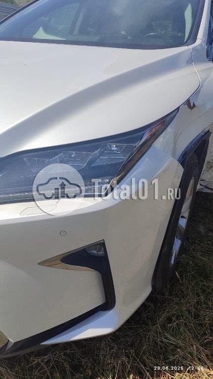 Фото Lexus RX 24