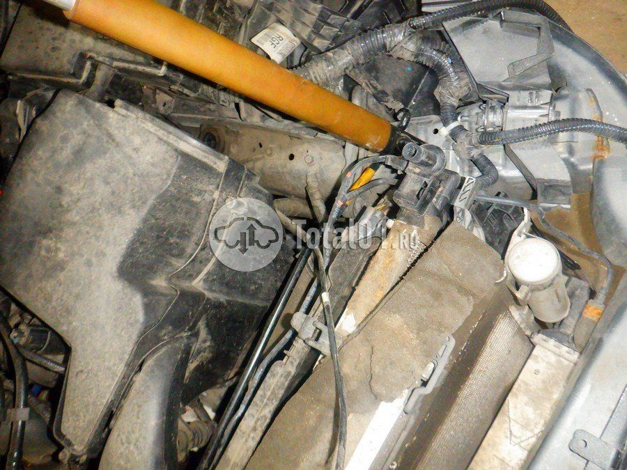 Фото Ford Kuga 136
