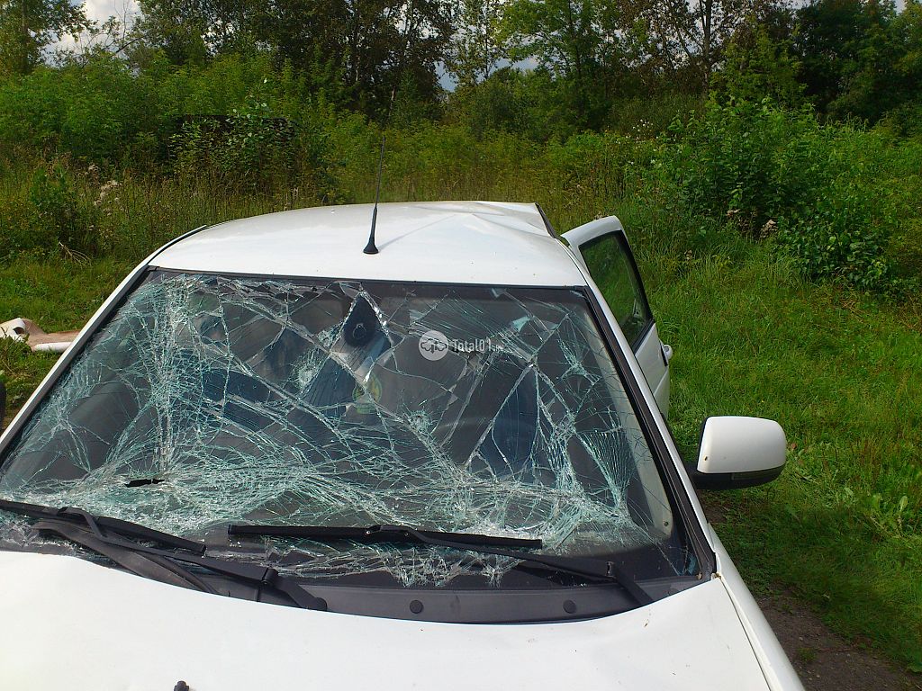 Фото ВАЗ (LADA) Priora 12