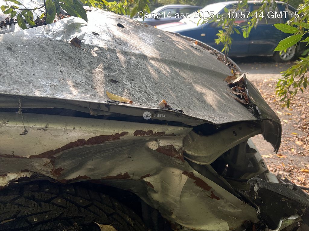 Фото Toyota Opa 34