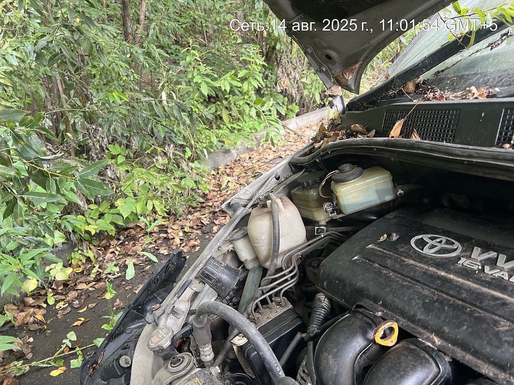 Фото Toyota Opa 186