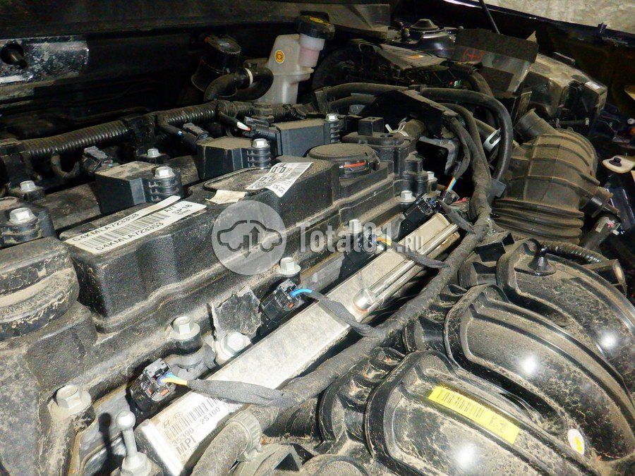 Фото Hyundai Sonata 384