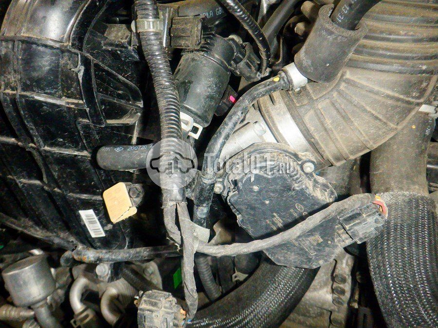 Фото Hyundai Sonata 396