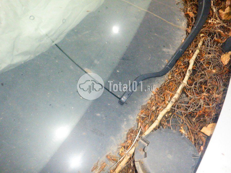 Фото KIA Rio 150