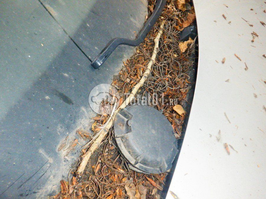 Фото KIA Rio 152