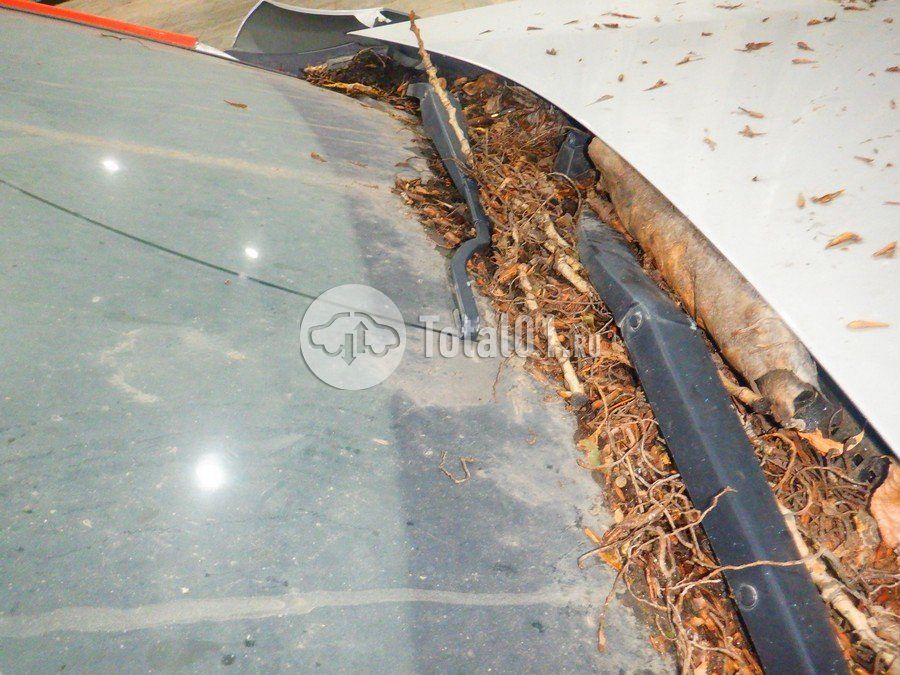 Фото KIA Rio 154