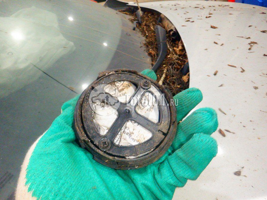 Фото KIA Rio 160